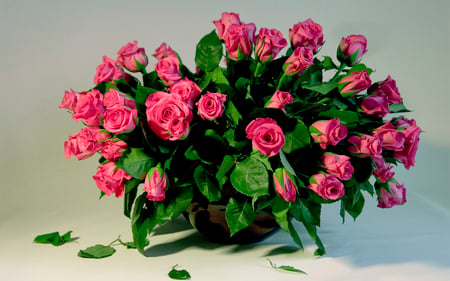 Beautiful Pink Roses - vase, roses, beautiful, lovely, green leaves, bouquet, pink