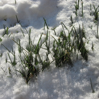 Snow in Edmonton Alberta 