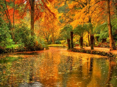 River in autumn forest - autumn, fall, forest, reflection, red, river, colors, silent