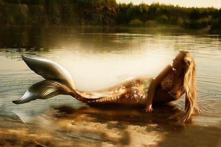 Nice Mermaid