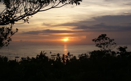 SUNSET ON THE LAKE - lakes, nature, tree, sunset