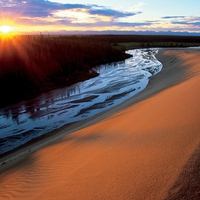 Great Kobuk Sand Dunes