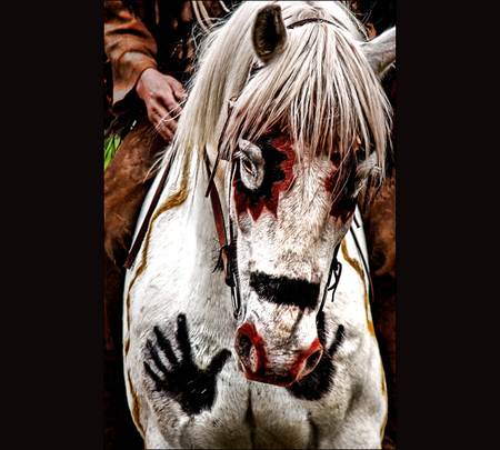 Kiowa War Horse - wallpaper, american, native, kiowa war horse, painthing, art