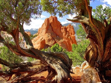 Tree Window Frame - rock, frame, tree, sky