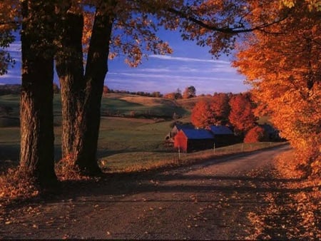 Country Home - sky, autumn, home, trees