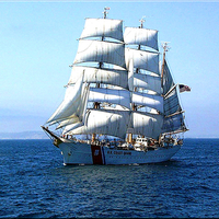 The US COASTGUARD