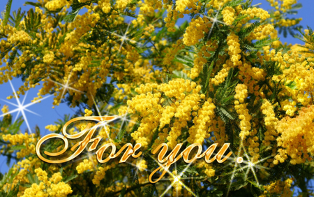 Bright Days for my Friends in DN - flowers, for you, yellow, beautiful, glitter, gift, tree