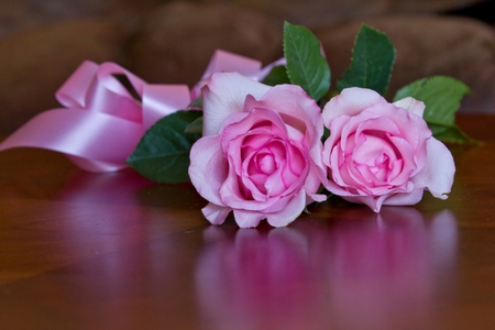 Pink roses - roses, beautiful, pink roses, two, ribbon, tender, flower, pink