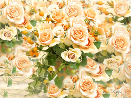 Caramel Rose - caramel, beautiful, bunch, pot, rose, vase