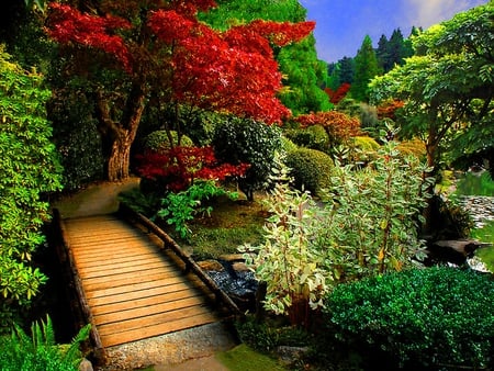 Small wooden bridge - trees, wooden, bridge, garden, small