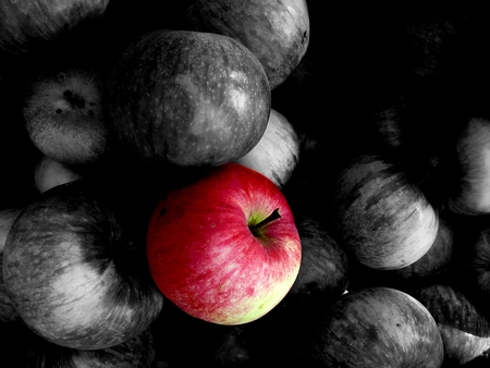 Apple (My photography) - black and white, black, apple, apples