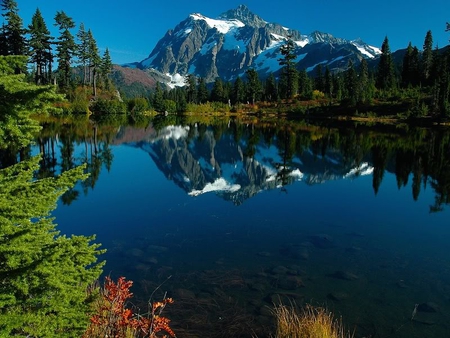 Late Autumn at Picture Lake - lake, trees, mountain, autumn