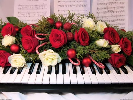 Christmas music - christmas, roses, piano, music, white, decor, red