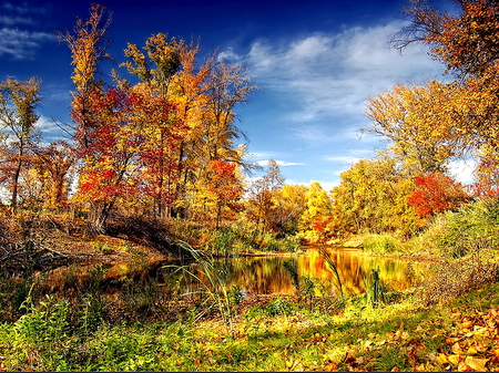 Color autumn lake - lake, forest, splendor, trees, nature, colors, hdr, autumn