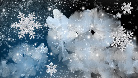 Snowflakes and Sakura Blossoms - winter, snowflakes, spring, sakura, snow, blue, seasons, flowers, cherry blossoms, firefox persona, apple blossoms, change