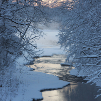 Winter Beauty