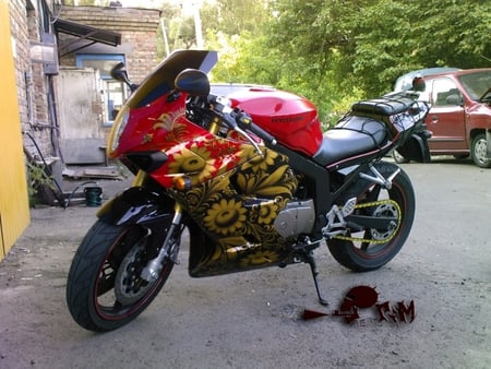 Aprilia motorcycle - motorcycles, 17, picture, 2011, 11