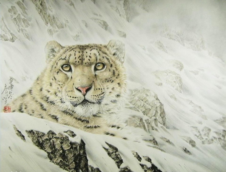 By  Jian Tang - jian tang, animal, snow leopard, drawing, art