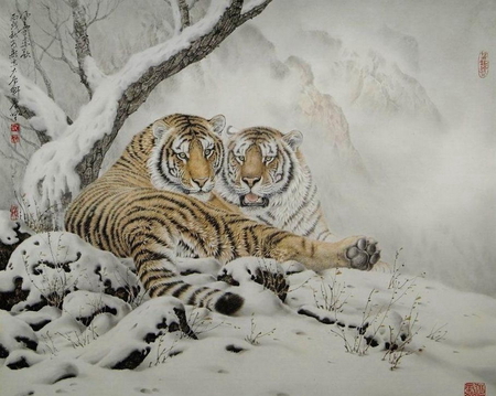 Jian Tang - drawing, snow, jian tang, art, tiger