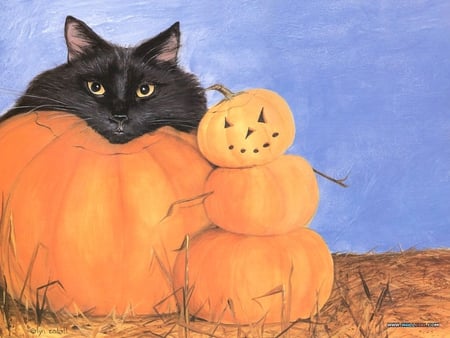 By Lynn Estall - halloween, pumpkin, cat, black, lynn estall