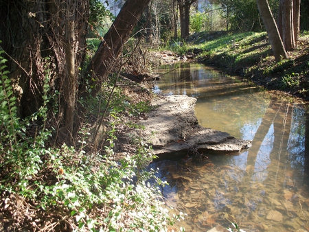 Fall - water, fall, trees, rocks