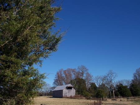 Barn - sky, field, trees, barn