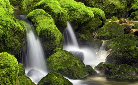 green rocks - nature, green, waterfall, beautiful