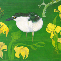 A Bird on the Grass with Yellow Flowers