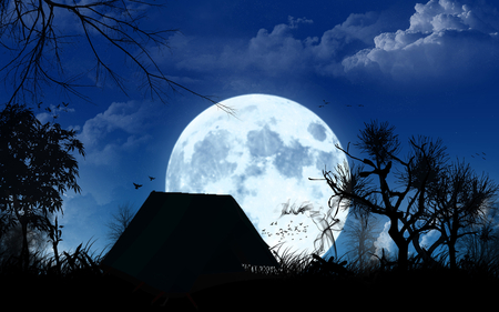 AMAZING 3D MOON - nice, nature, hd, amazing, cool, 3d, wallpaper