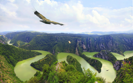 THE KING OF AIR IS FLYING - nice, nature, hd, amazing, cool, 3d, wallpaper