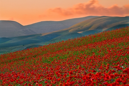 Place of beauty - clouds, poppies, magic, amazing, grass, mountain, wonderful, field of poppies, sunset, nature, red, field, beautiful place, sky