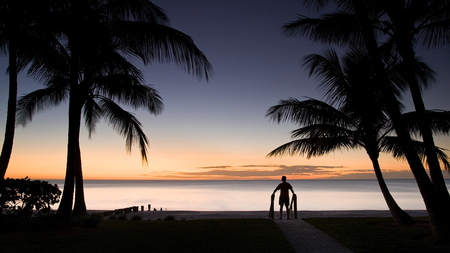 Man and the beach - men, beach, trees, sunset, nature