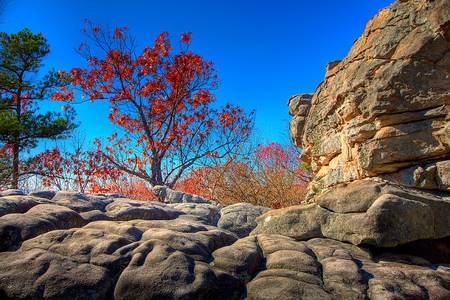 burning sky - blue, rock, beauty, photo, tree, red, hd, hdr, cute, sky