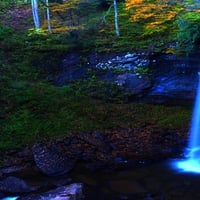 AUTUMN FOREST FALLS