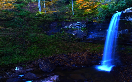 AUTUMN FOREST FALLS - plants, forest, autumn, falls