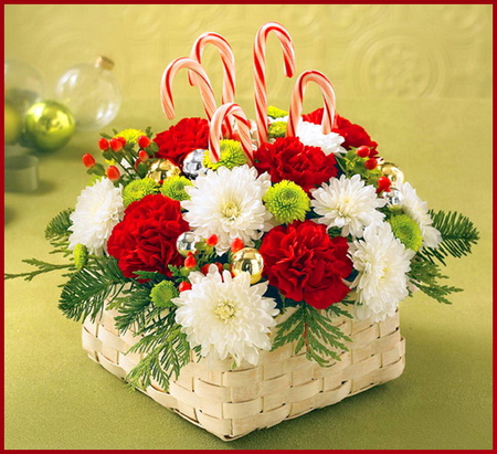 A basket of Christmas - christmas, basket, white, red, green, carnations, colors, candy canes