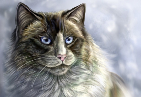 Cat drawing - cat, feline, animal, kitten