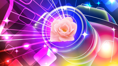 Vibrant Pink Rose - flower, lights, rose, pink, glow, rays, stars, abstract, bright, bokeh, color