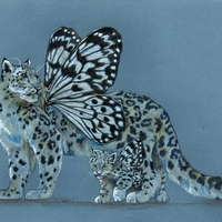 BUTTERFLY SNOW LEOPARD