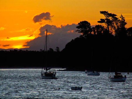 Orange Sunset - trees landscape, boats, water, orange, sunset, waves