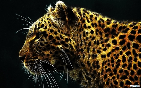 leopard - leopard, animal, dot, tiger, dangerous, big cat, cat, hd, wild