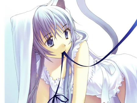 Simple Neko - big eyes blue eyes, anime, white dresses, animal ears, tail, long hair, animal, little nose, blue hair, blue bow, nice, neko, cta, white background, simple, wonderful, manga, cute