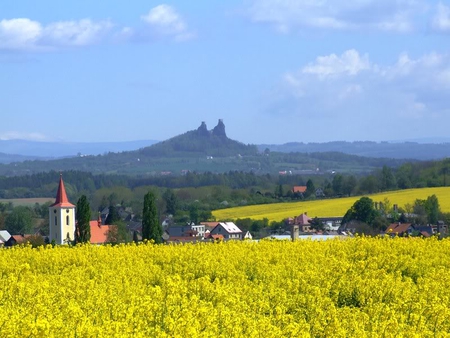 Village Beyond - village, sky, yellow, plants