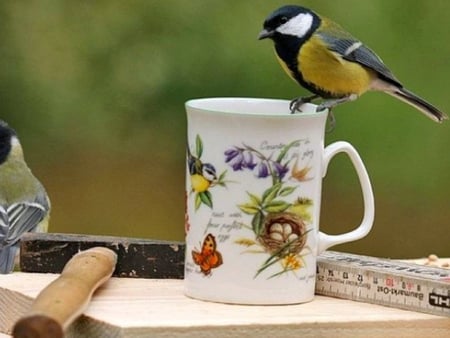 Birds Nest Cup. - bird, cup, mug, tool