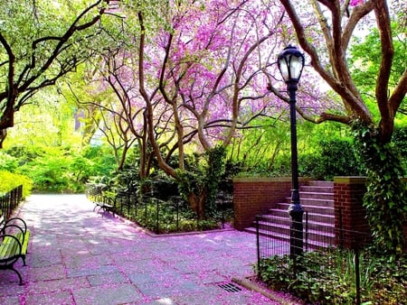 Purple tree - nature, tree, puple, terrace