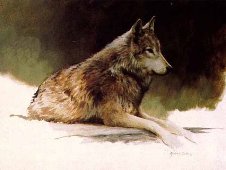 Timber Wolf - wolf, animals, dogs, other, timber wolf