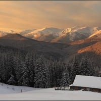 Solitude in the Mountains