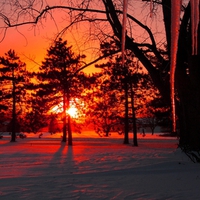 WINTER SUNSET