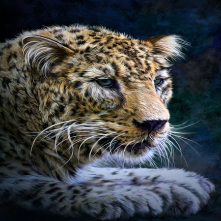 LEOPARD - leopard, eyes, spots, face, cat