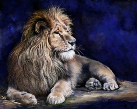 LION - animal, king, lion, cat